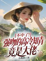 沈清岚顾淮安