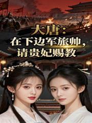 大唐：在下边军旅帅，请贵妃赐教